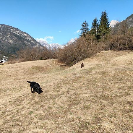 Appartamento Fronte Piste Auronzo di Cadore Luaran gambar
