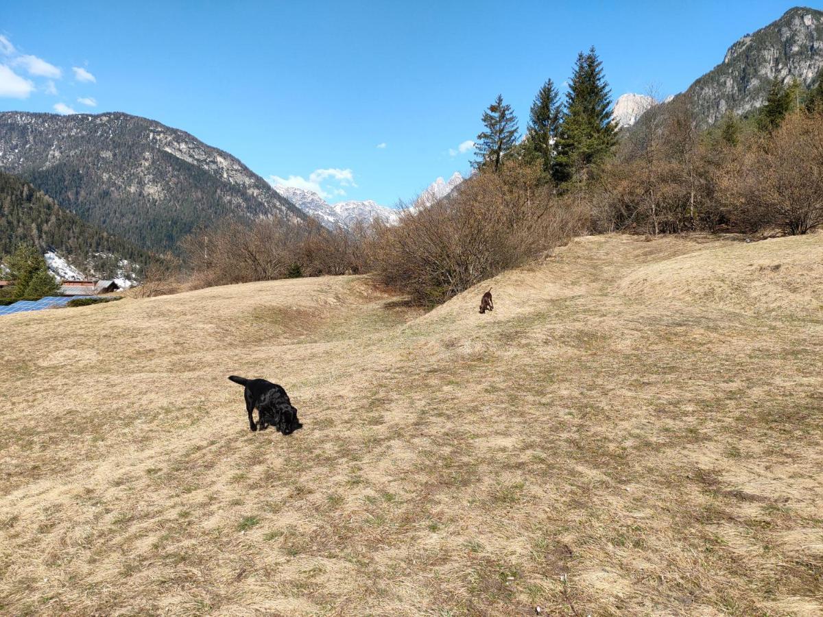 Appartamento Fronte Piste Auronzo di Cadore Luaran gambar