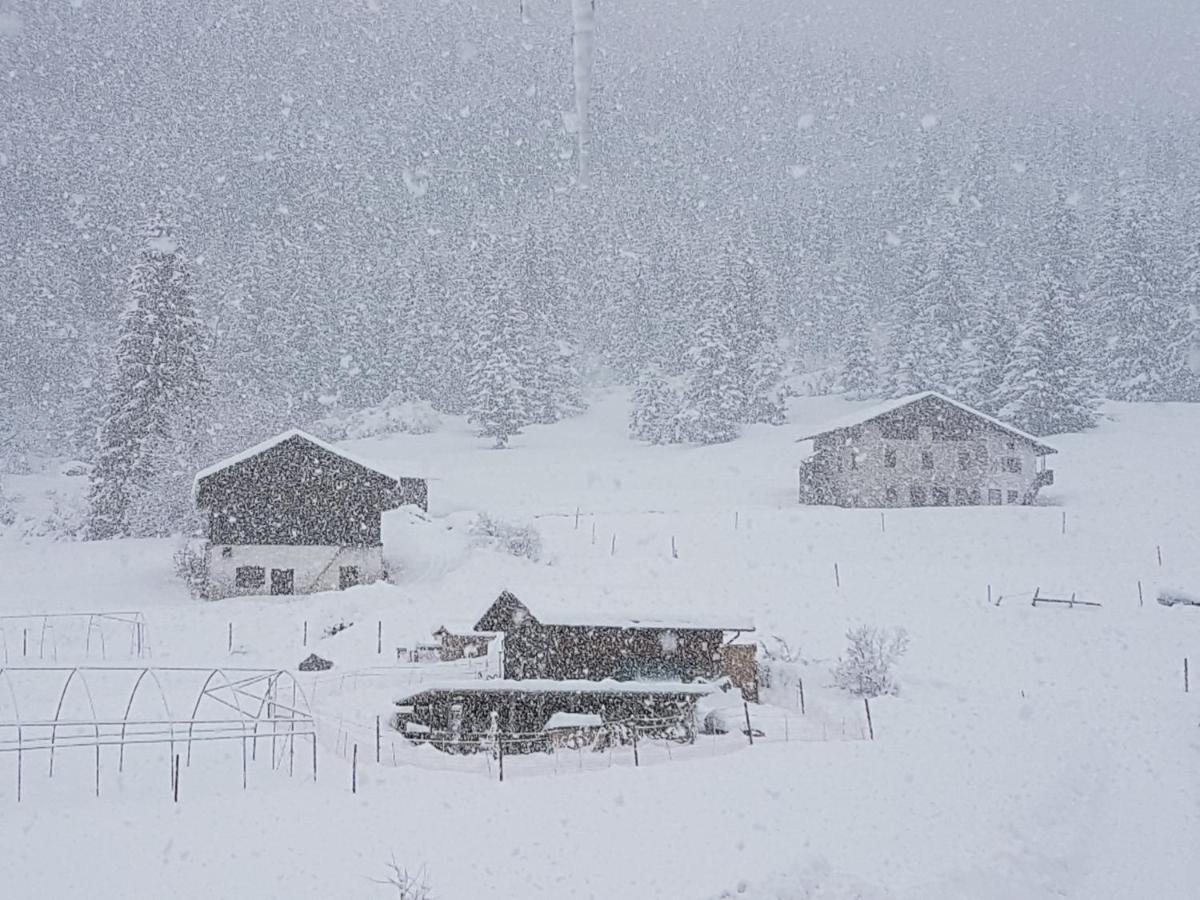 Appartamento Fronte Piste Auronzo di Cadore Luaran gambar